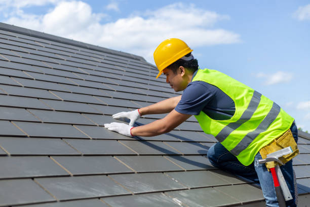 Best Roof Maintenance Services  in Harrisonburg, VA
