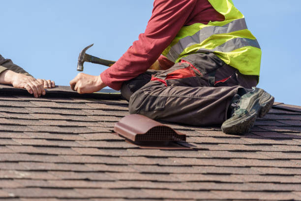 Best Local Roofing Companies  in Harrisonburg, VA