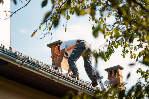 Best Shingle Roofing Installation  in Harrisonburg, VA