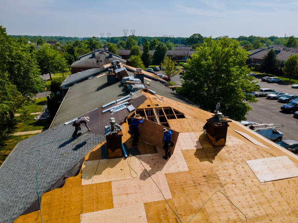 Best Metal Roofing Contractor  in Harrisonburg, VA