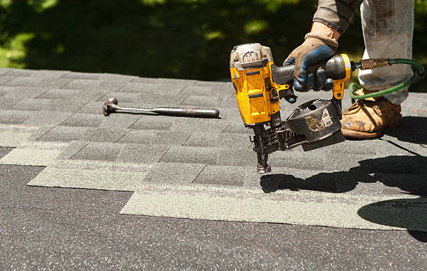 Best Gutter Installation and Roofing  in Harrisonburg, VA