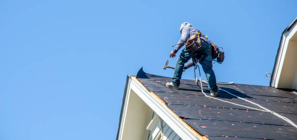 Best Residential Roof Replacement  in Harrisonburg, VA